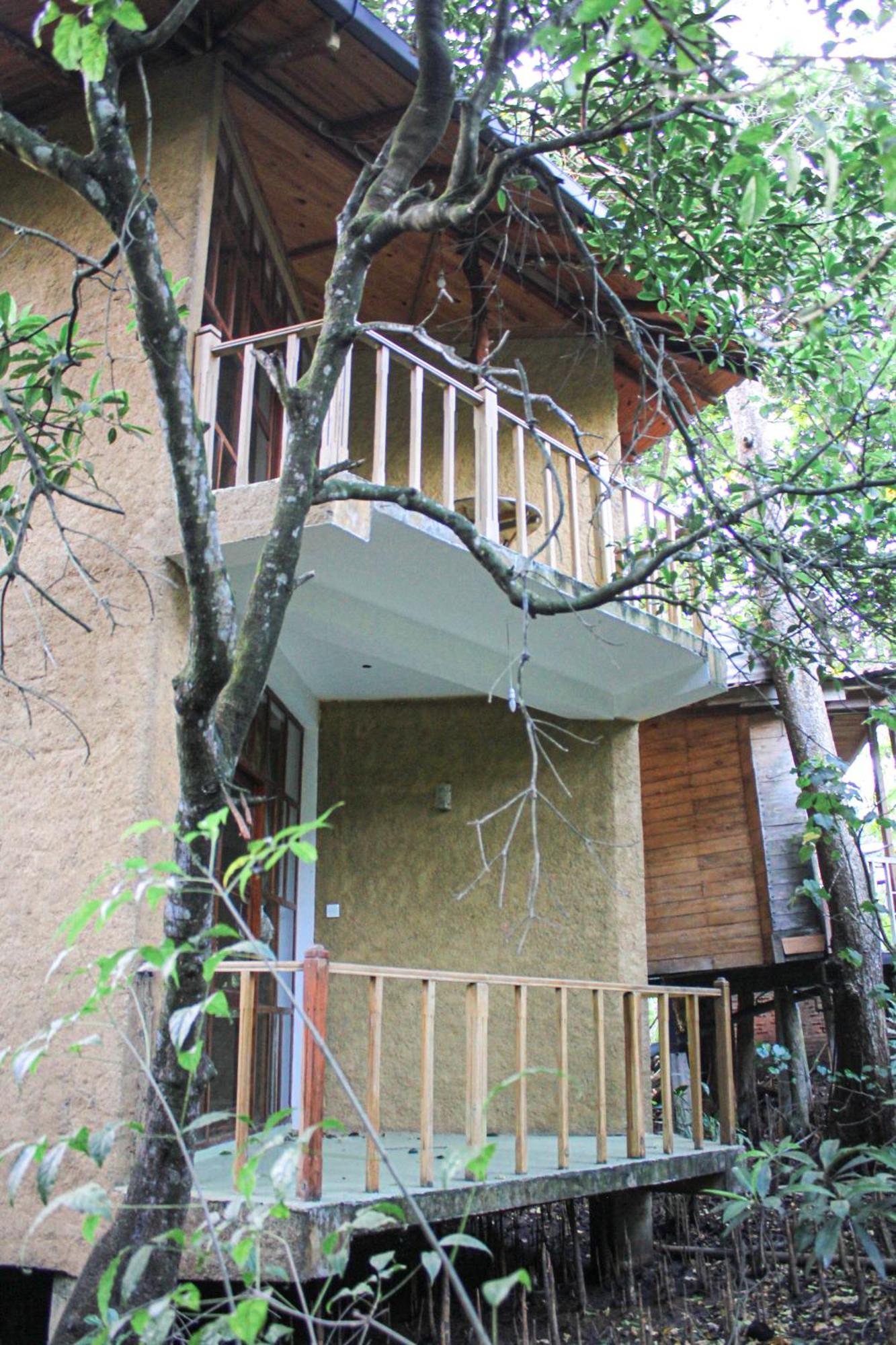 Гостьовий будинок Seasons Four Eco Friendly Treehouse Матара Екстер'єр фото