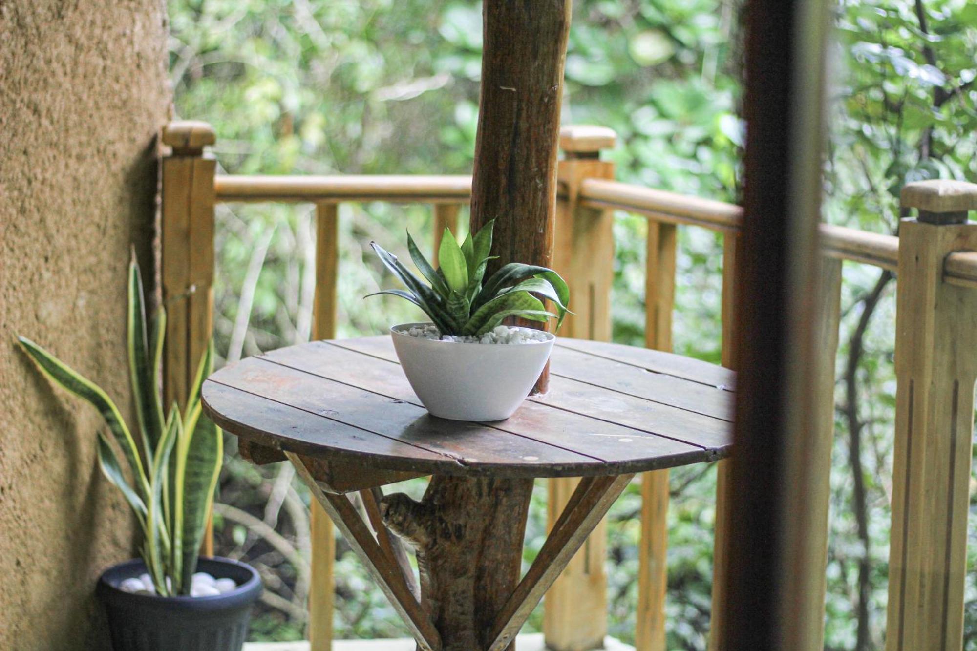 Гостьовий будинок Seasons Four Eco Friendly Treehouse Матара Екстер'єр фото
